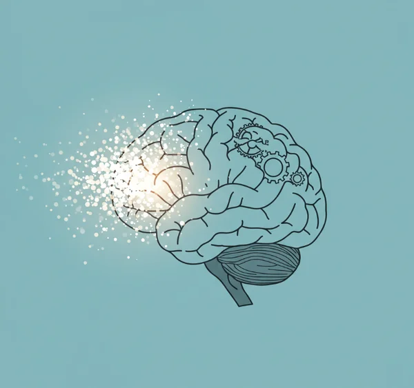 Velocidad de procesamiento del cerebro y el impacto de la edad en el tiempo de reacción.