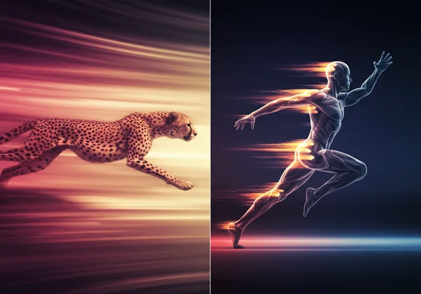 Visual abstrak kecepatan, refleks manusia vs hewan