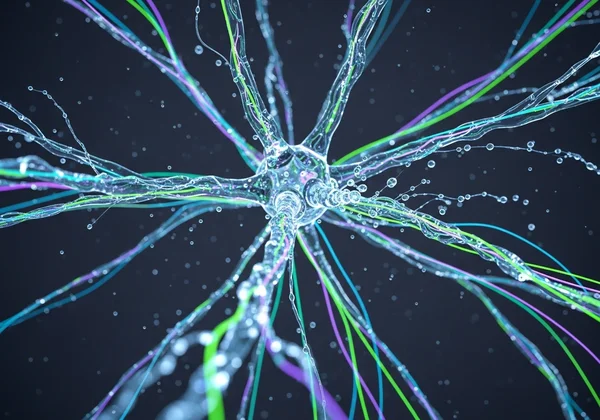 Water flowing through abstract neural pathways.